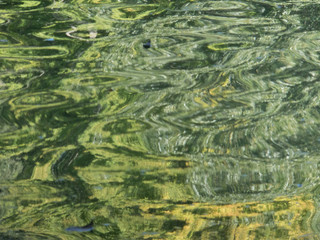 Green Swirls, Landscape Orientation