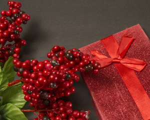 Holly Berries and Christmas Gift