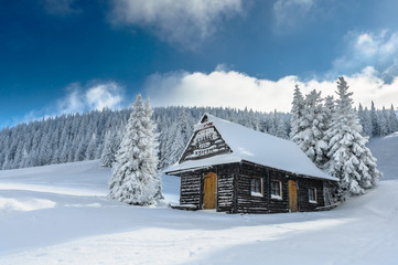 Snowy winter in mountains