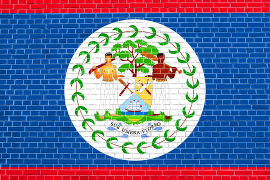 Flag of Belize on brick wall texture background