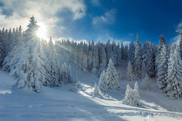 Fototapeta na wymiar Snowy winter in mountains