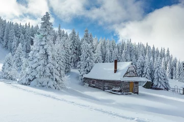 Photo sur Plexiglas Hiver Snowy winter in mountains