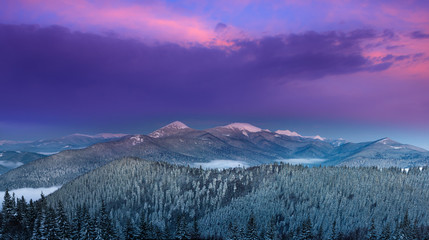 Panoramic landscape of colorful winter sunrise in the mountains. View of the forest covered by snow and peaks in distance.