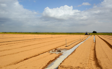 Fototapeta na wymiar Irrigation