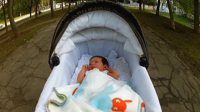 Baby lying in the pram on walk in the park 