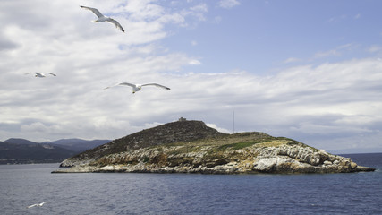 Fototapeta na wymiar Seagulls above the small island