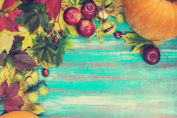 Frame made of autumn leaves, pumpkins