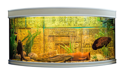 Beautiful aquarium decorated in Egyptian style