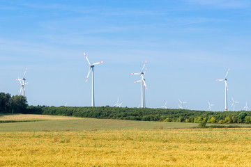 Windkrafträder auf einem Feld im Herbst