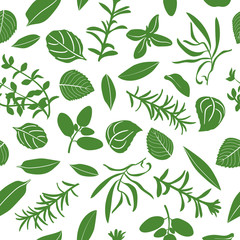 Fototapeta na wymiar Herbes de Provence seamless pattern vector set