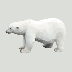 polygonal polar white big bear isolated on gray background
