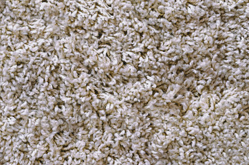 texture soft plush carpet