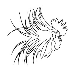 Silhouette of a rooster head.  Cock sketch, hand drawing. Symbol of New Year 2017. Vector.