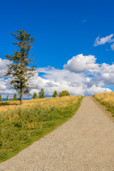 Beautiful Mountain Trail Park. Okanagan Lake. Canada.