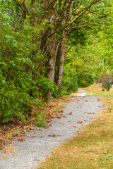 Fragment of Hayward Lake Park trail in Vancouver, Canada.