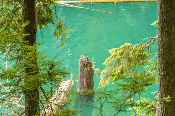 Majestic mountain lake in Canada. Hayward Lake in British Columbia, Canada.