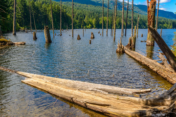 Fototapeta premium Beautiful Westwood Lake in Canada.