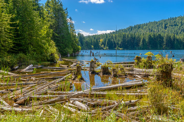 Fototapeta premium Beautiful Lake Cowichan in Canada.