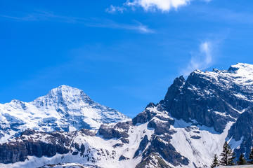 Plakat The Swiss Alps at Murren, Switzerland. Jungfrau Region. The valley of Lauterbrunnen from Interlaken.