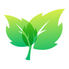 Leaf icon vector illustration.