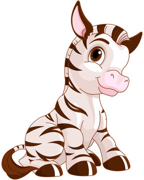 Cute Zebra