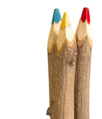 tree giant handmade color pencil