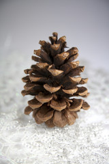 Pinecone and snowflakes Chiristmas or winter still life