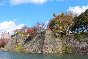 秋の八代城