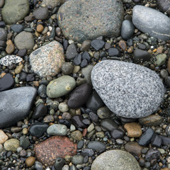 Close-up of pebbles, Deception Pass State Park, Oak Harbor, Wash