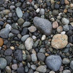 Fototapeta na wymiar Close-up of pebbles, Deception Pass State Park, Washington State