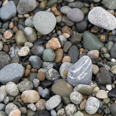Fototapeta na wymiar Close-up of pebbles, Deception Pass State Park, Oak Harbor, Wash