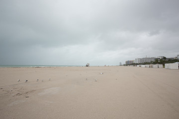 Hurricane Matthew and tropical storm. Miami Beach, South Beach, Florida. Incline weather, rain and wind