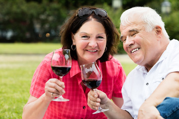 Senior Couple Holding Glass Of Wine