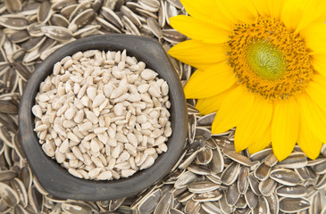Flower and sunflower seeds