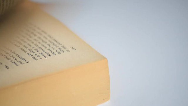 Flipping through most pages of a book with visible page numbers
