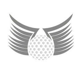 ball golf sport equipment vector illustration design