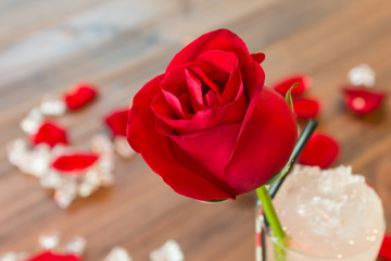 Single red rose for valentine background