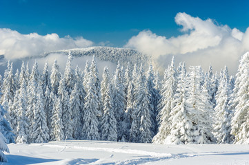 Fototapeta na wymiar Landscape of beautiful snowy winter