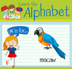 Flashcard letter M is for macaw