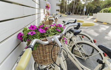 Retro bikes with baskets and flowers