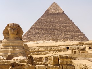 camel great sphinx and piramids