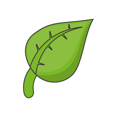leaf plant icon. Ecology renewable and conservation theme. Isolated design. Vector illustration