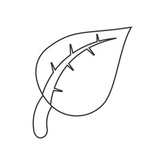 leaf plant icon. Ecology renewable and conservation theme. Isolated design. Vector illustration