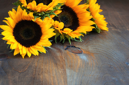 Sunflowers on wooden background. Autumn. Selective focus. Toned image