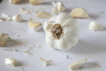 Garlic