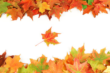 colorful autumn maple leaves frame isolated on white background