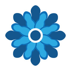 beautiful flower cute icon vector illustration design