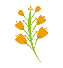 beautiful flower cute icon vector illustration design