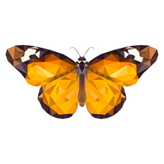 vector low poly Monarch butterfly on white background - 122917468