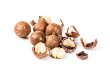 macadamia nuts on white background